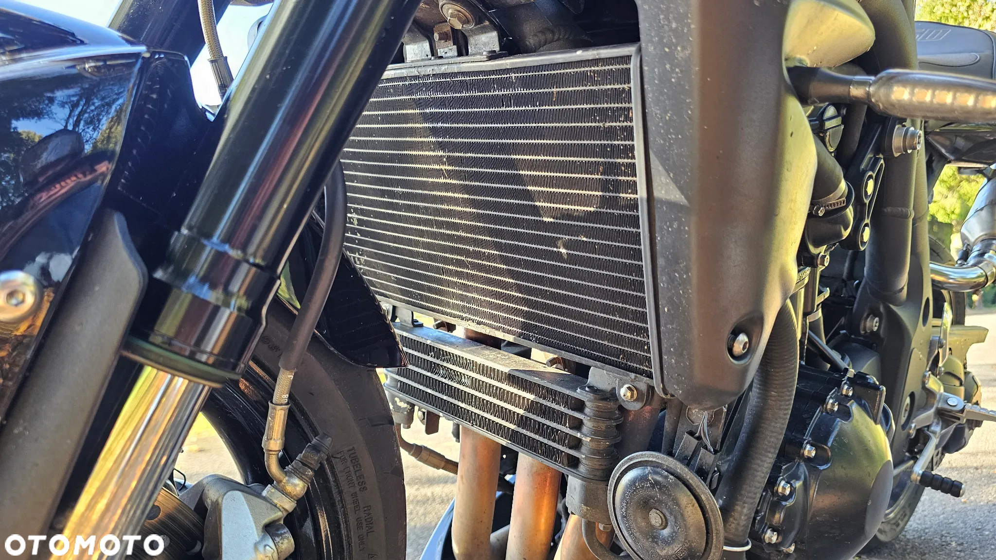 Triumph Speed Triple - 18