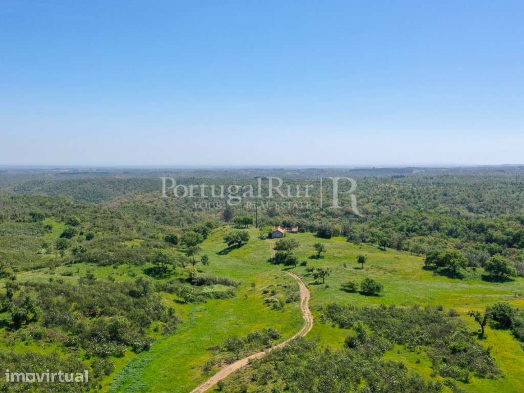 Herdade com 85 ha com viabilidade turística, a 15 km de Melides - Grande imagem: 3/11