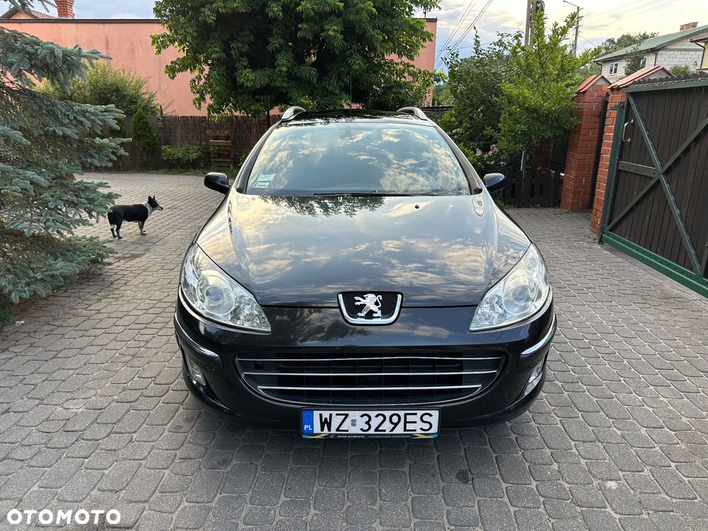 Peugeot 407 - 4