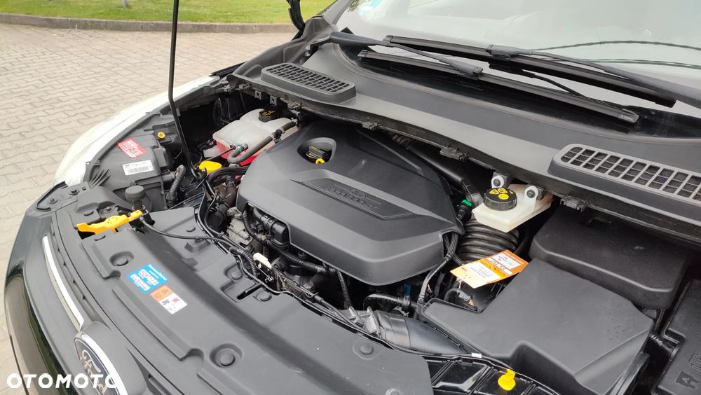 Ford Kuga 1.6 EcoBoost 2x4 Trend - 19