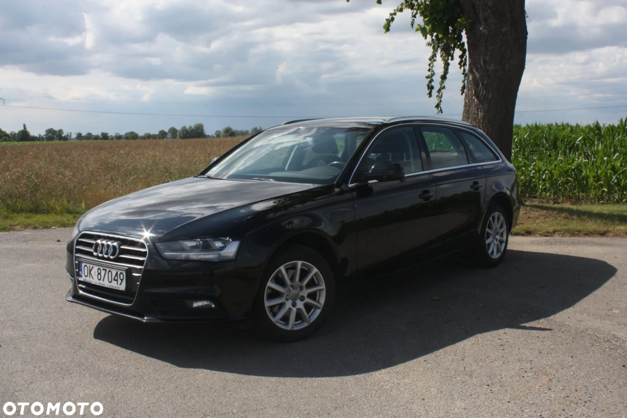 Audi A4 - 1