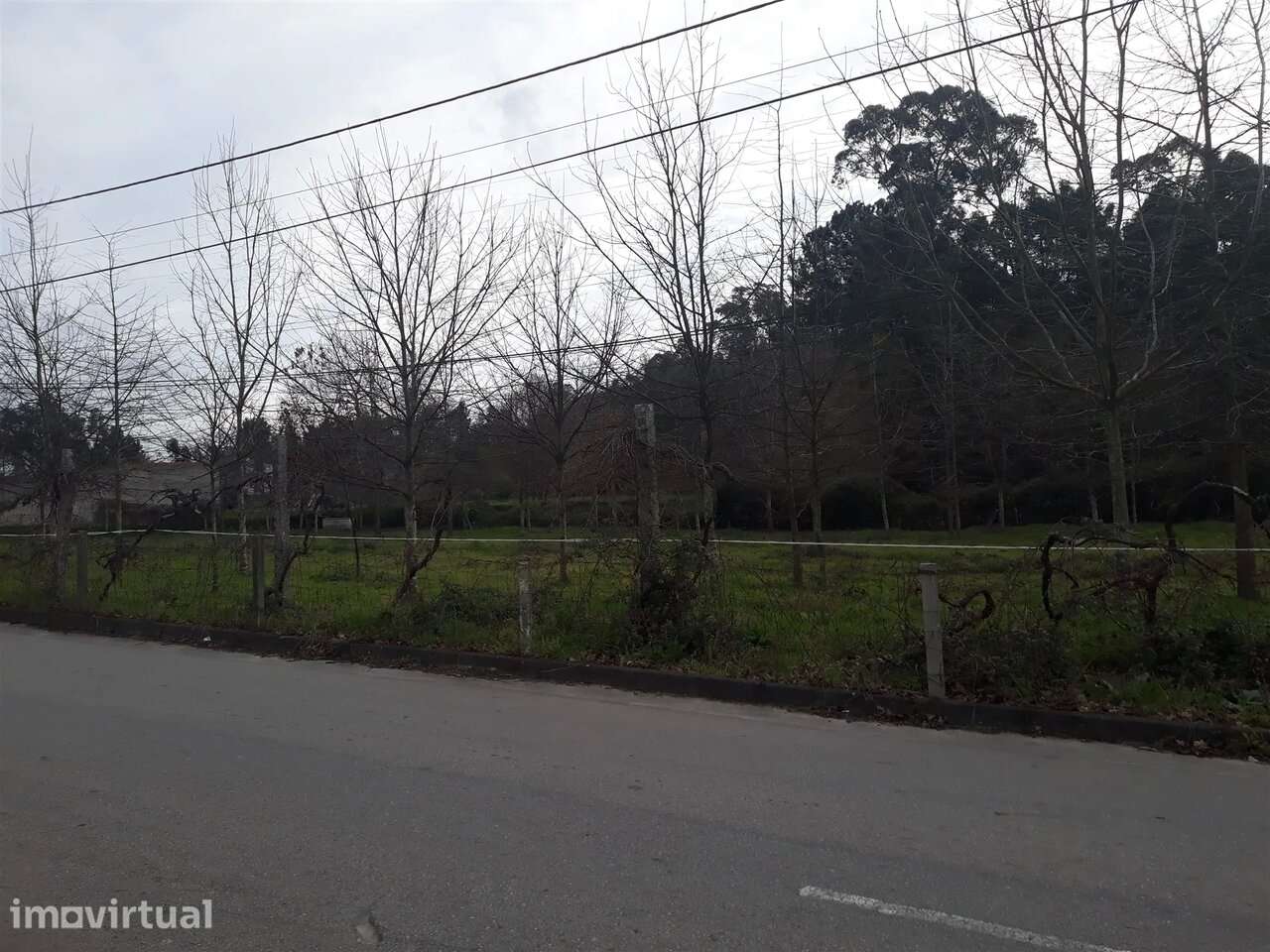 Terreno em Cesar, Oliveira de Azeméis - Grande imagem: 2/5