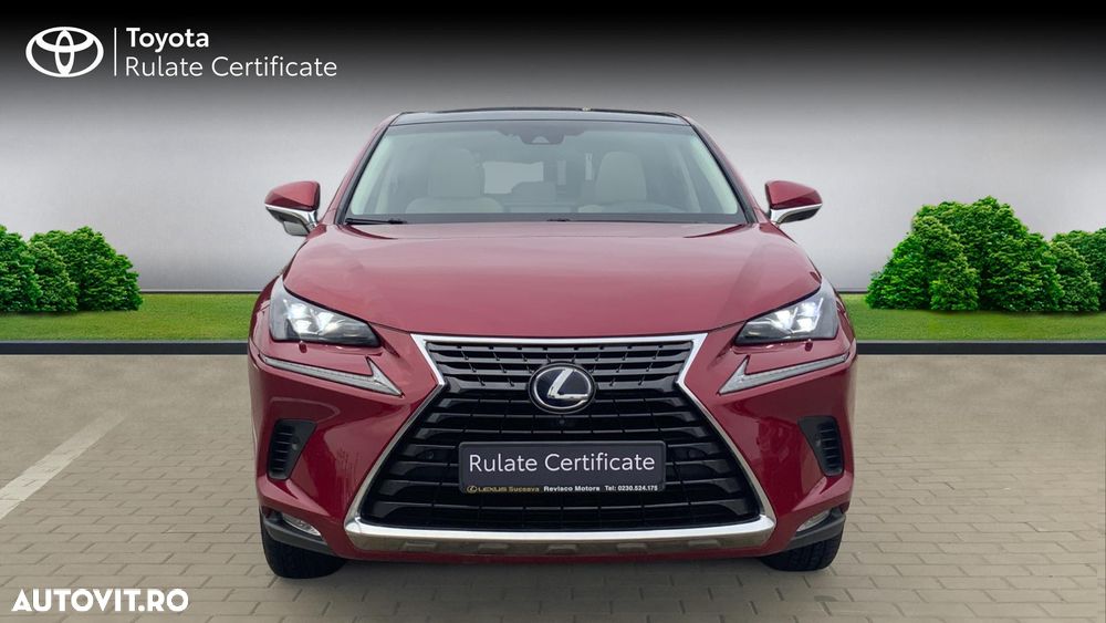 Lexus Seria NX 300h FWD Luxury Panorama - 5