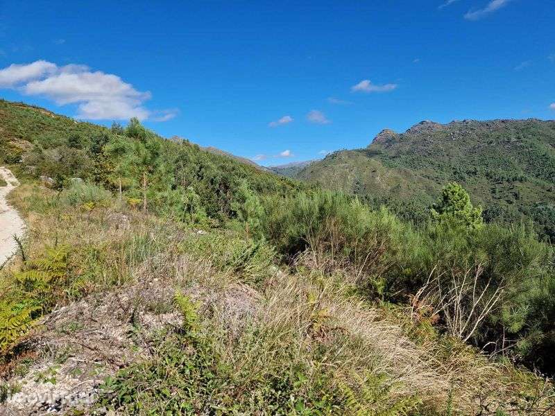 Terreno / coutada na Zona do Gerês / Rio Caldo - Grande imagem: 3/7