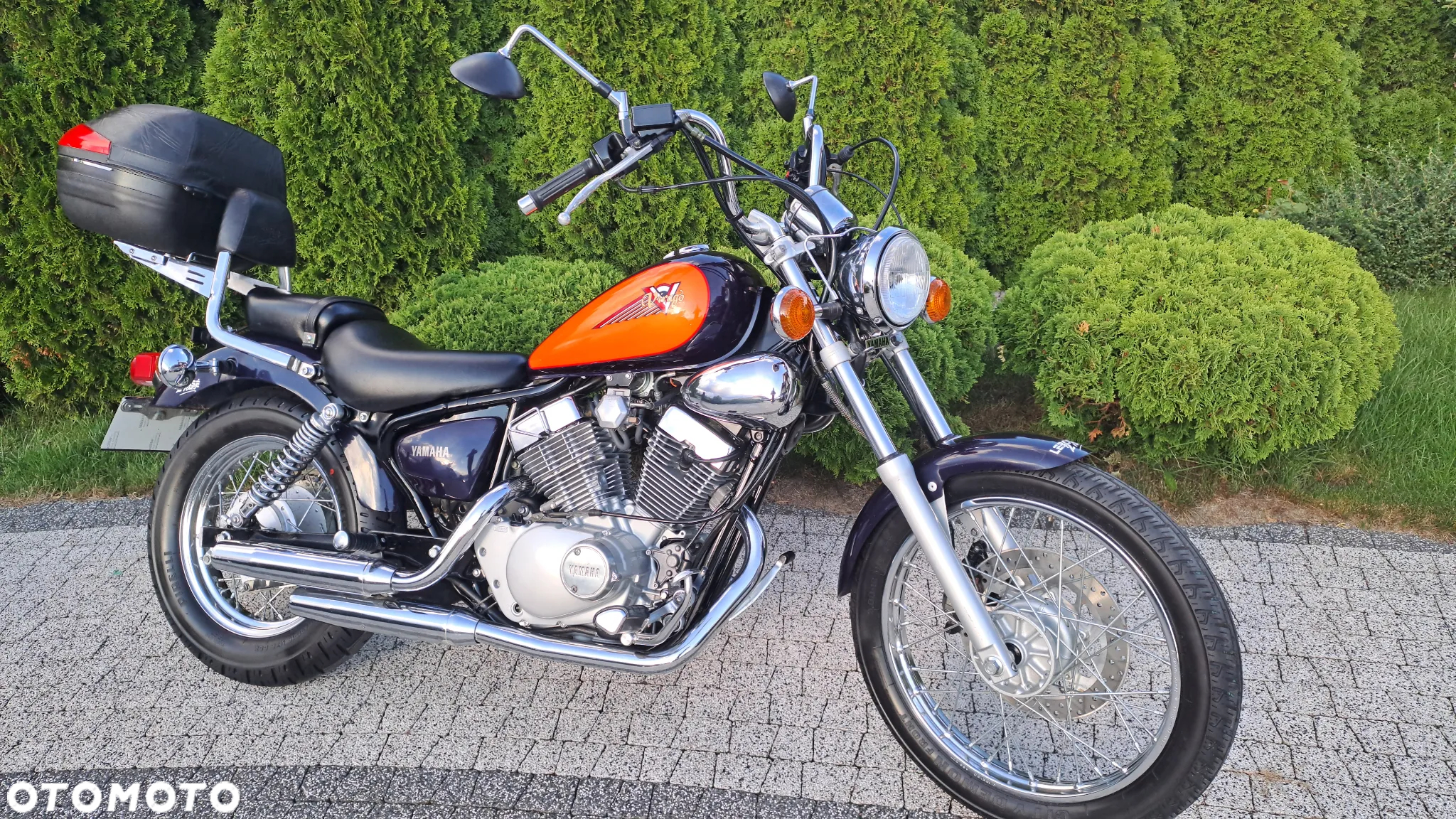 Yamaha Virago - 3