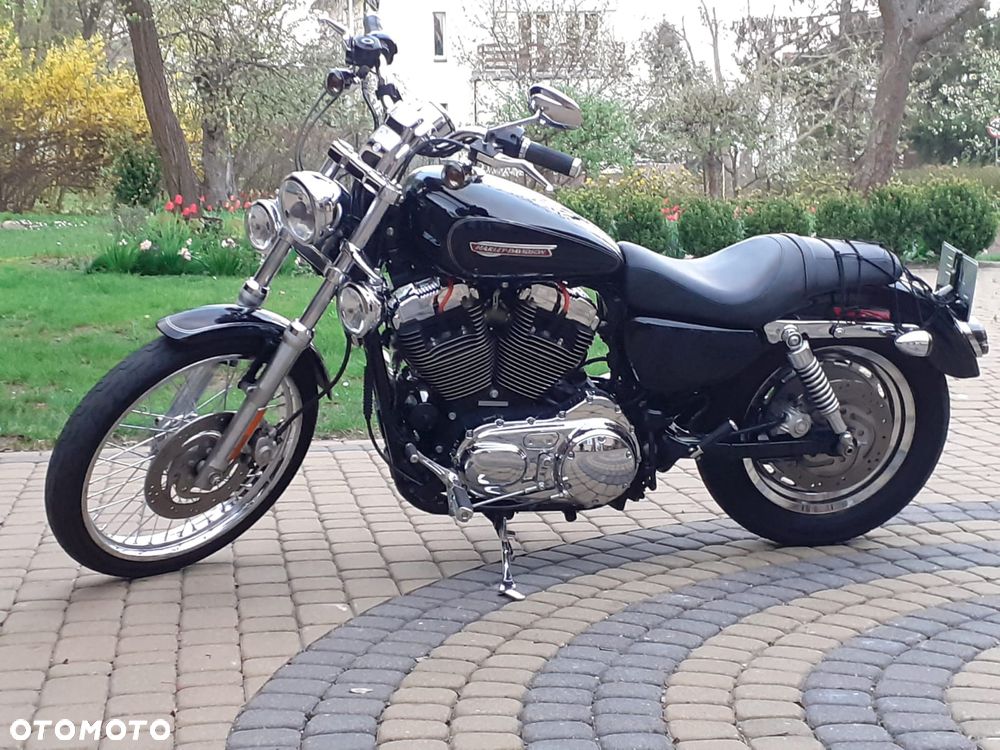 Harley-Davidson Sportster Custom 1200C - 6