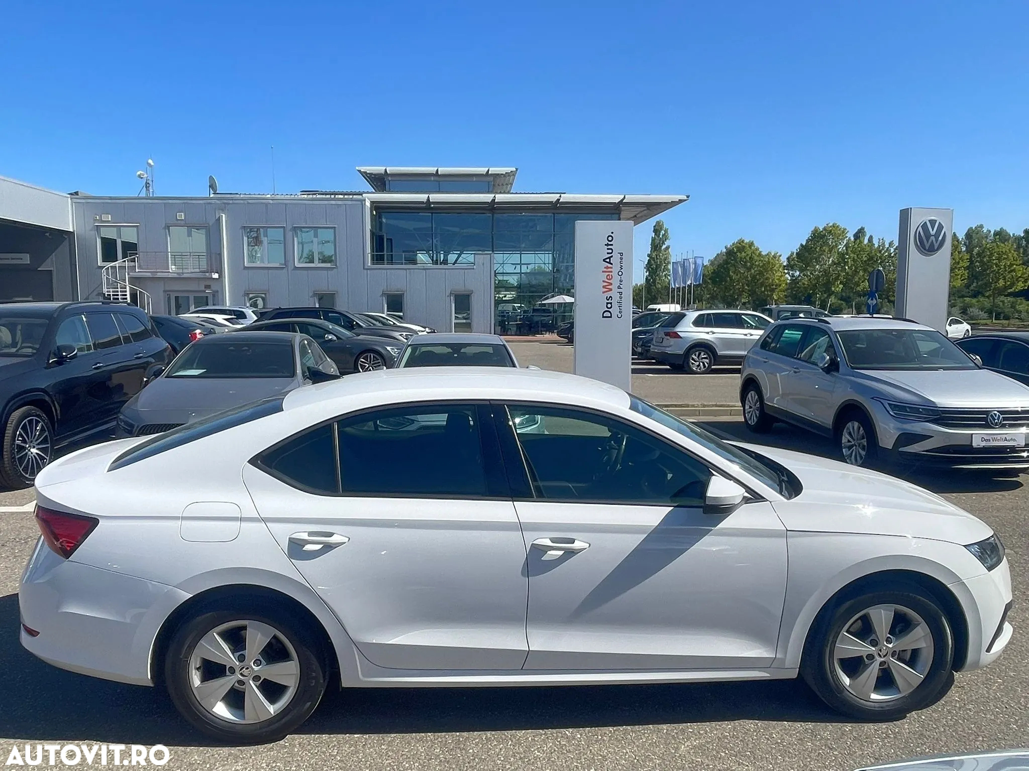 Skoda Octavia 1.0 TSI DSG Mild Hybrid Ambition - 7