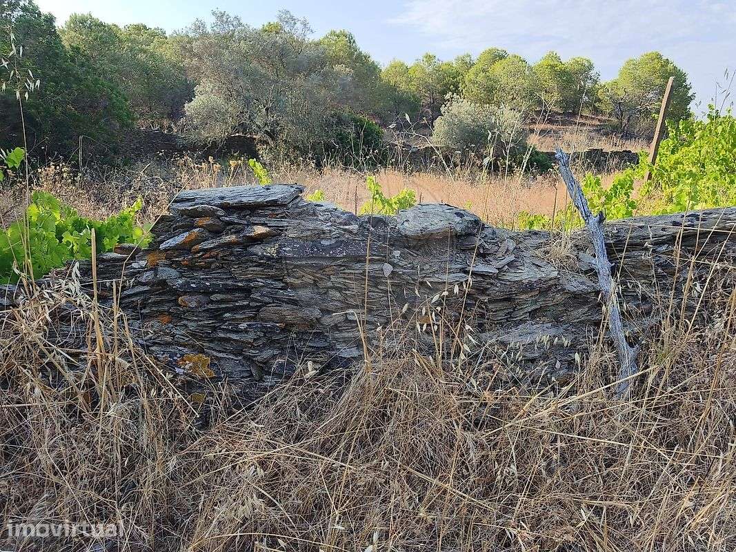 Terreno  para venda - Grande imagem: 3/6