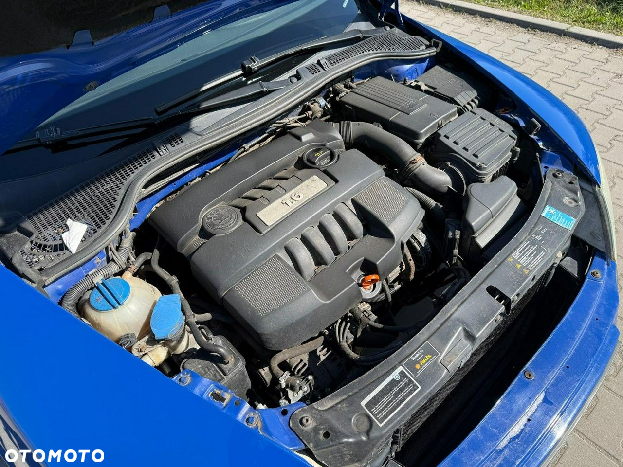 Skoda Octavia 1.6 Elegance - 17