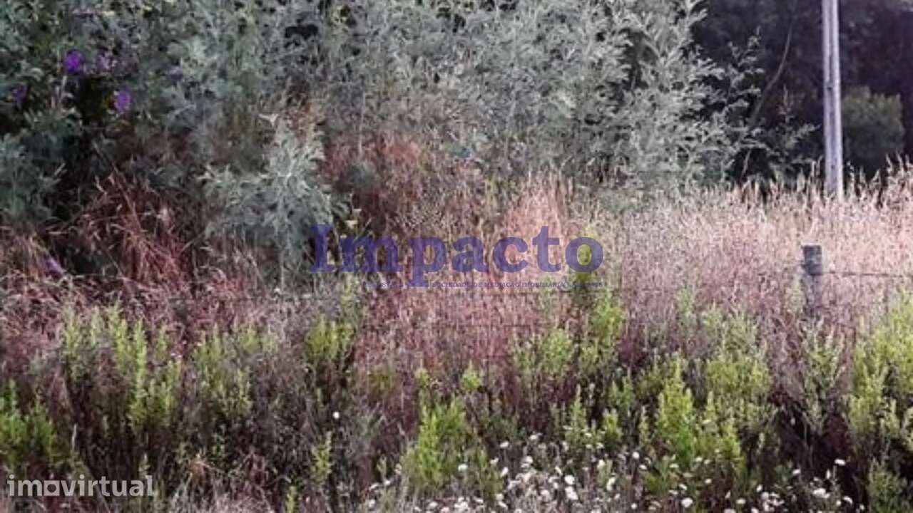 Terreno para construção Oliveira de Azeméis - Grande imagem: 3/3