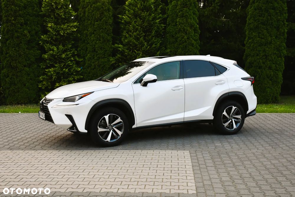 Lexus NX 300 AWD Executive Line - 10