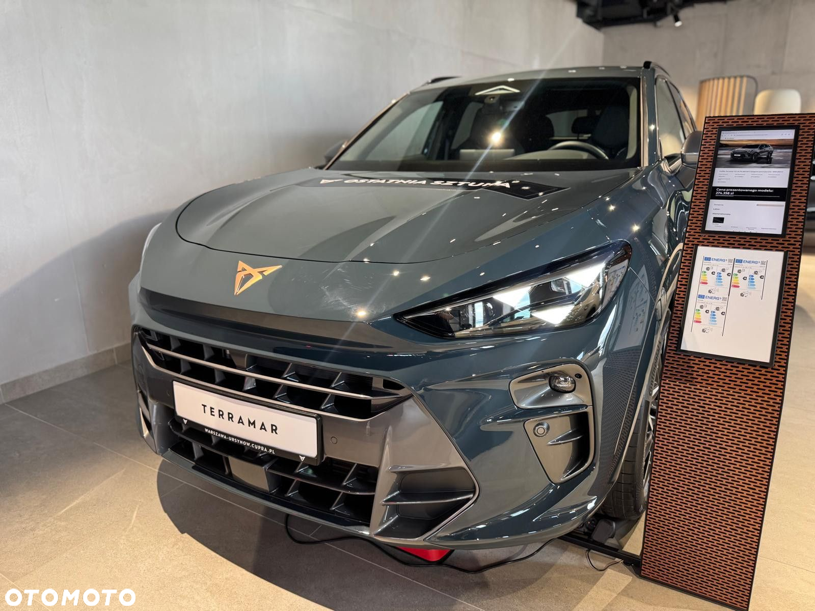 Cupra Terramar - 2
