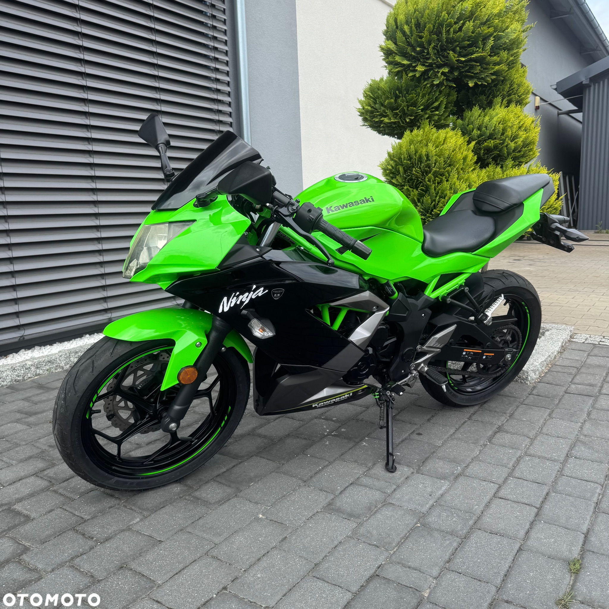 Kawasaki Ninja - 7