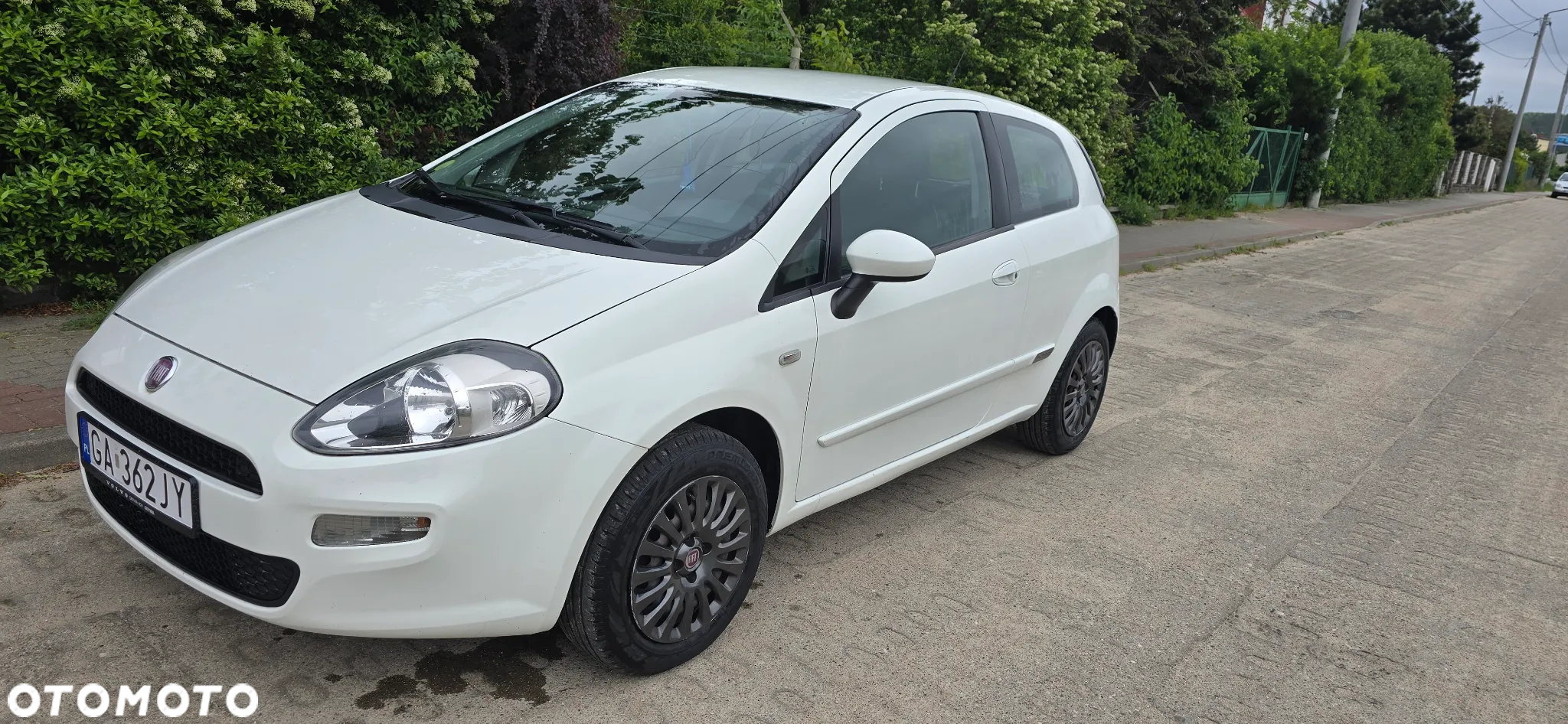 Fiat Punto 1.3 Multijet Easy - 2