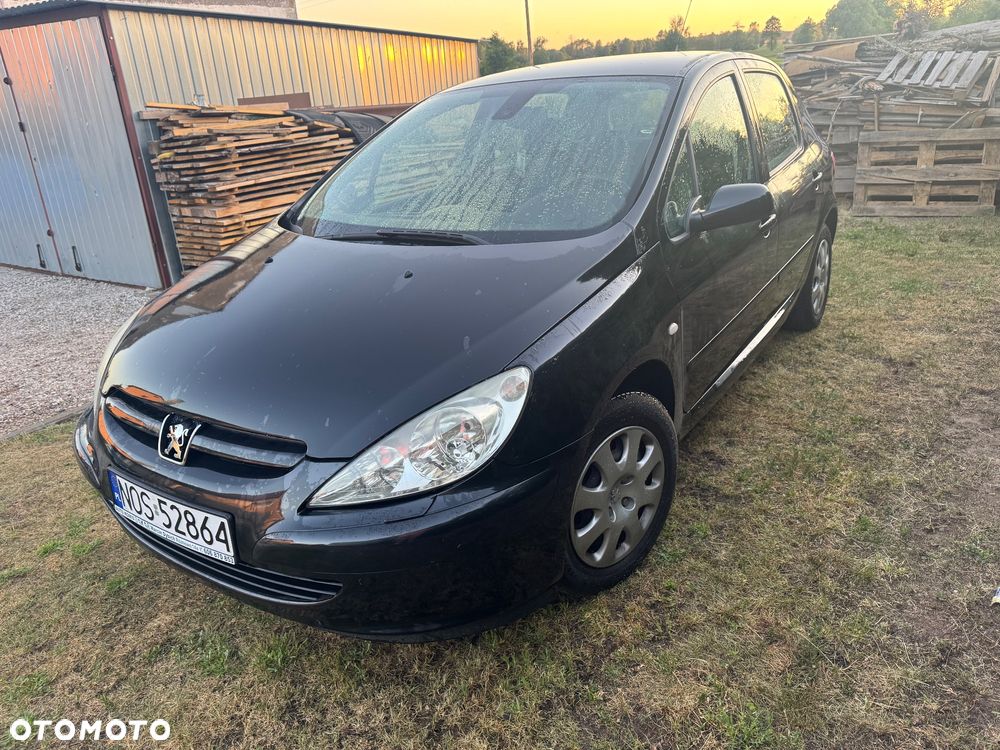 Peugeot 307 1.6 - 1