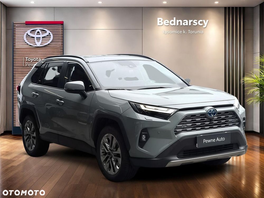 Toyota RAV4 2.5 Hybrid Executive 4x2 - 8