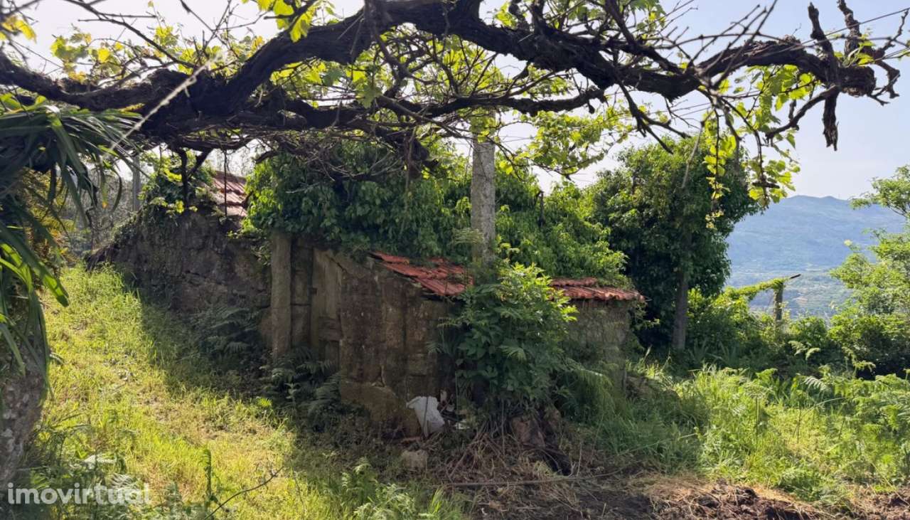 Venda Moradia para restauro, Penhalonga, Marco de Canaveses - Grande imagem: 3/48