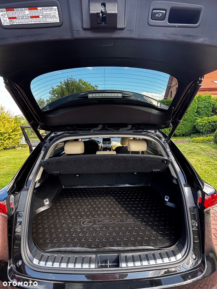 Lexus NX - 14