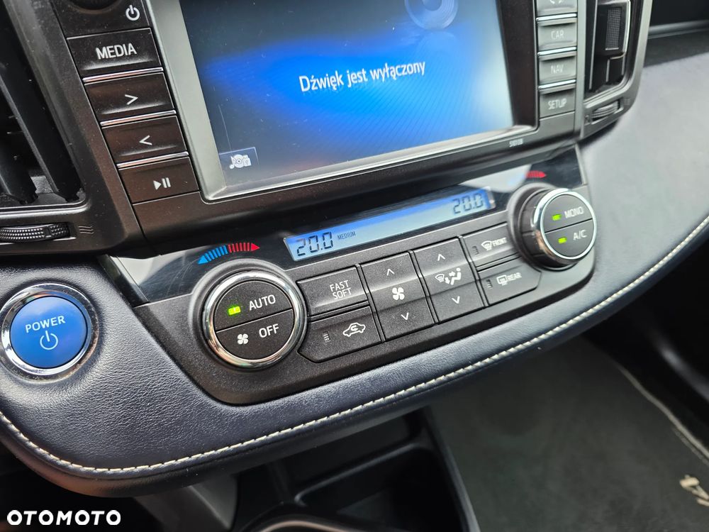 Toyota RAV4 Hybrid Premium 4x2 - 19