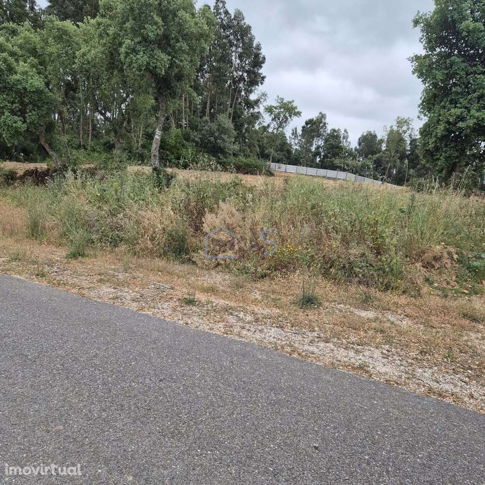 Terreno com 4.560 m² e Viabilidade de Construção – Casais, FZZ - Grande imagem: 3/20