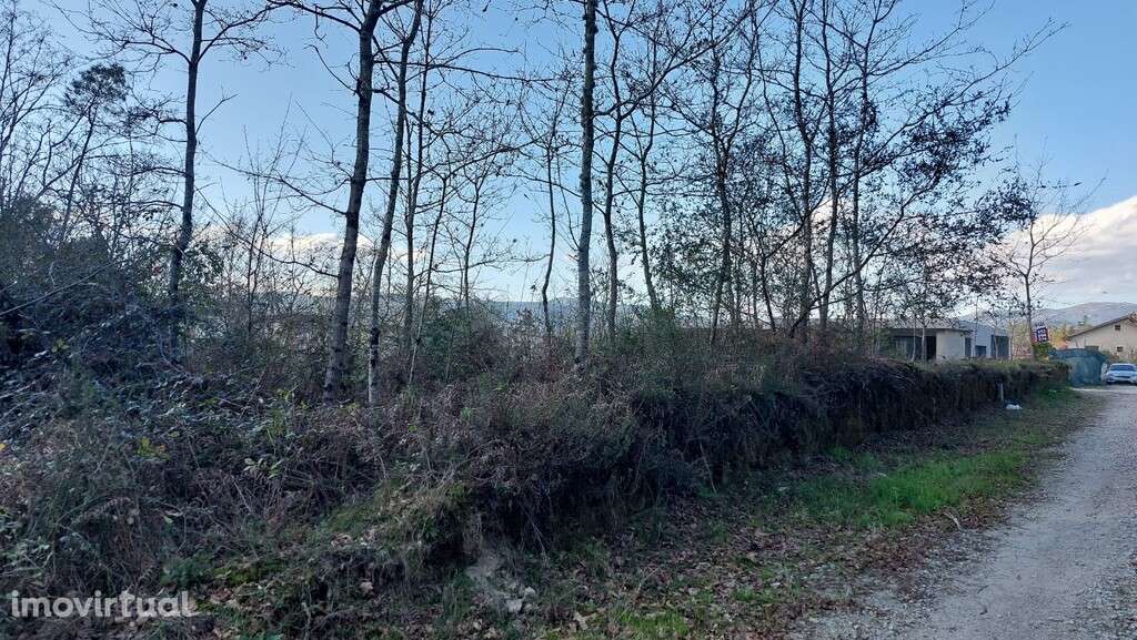 Lote Construção - Fiscal - Grande imagem: 3/4