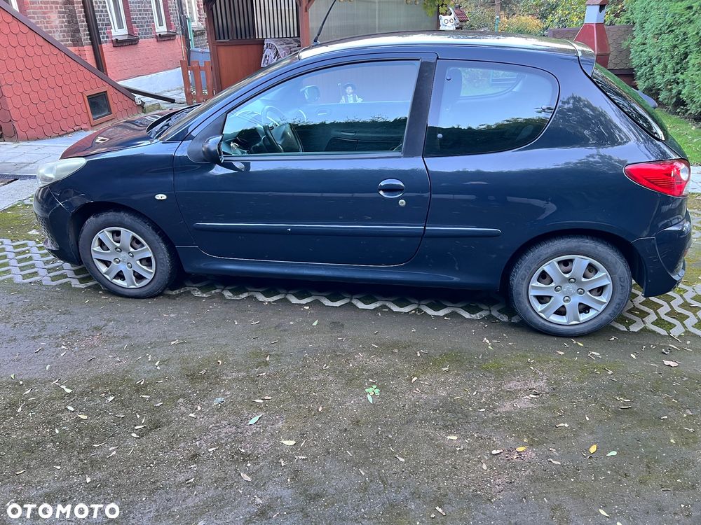 Peugeot 206 - 6