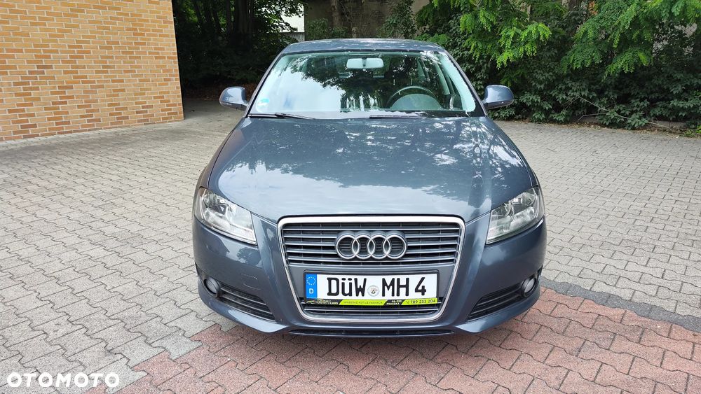 Audi A3 Sportback 1.6 Attraction - 14