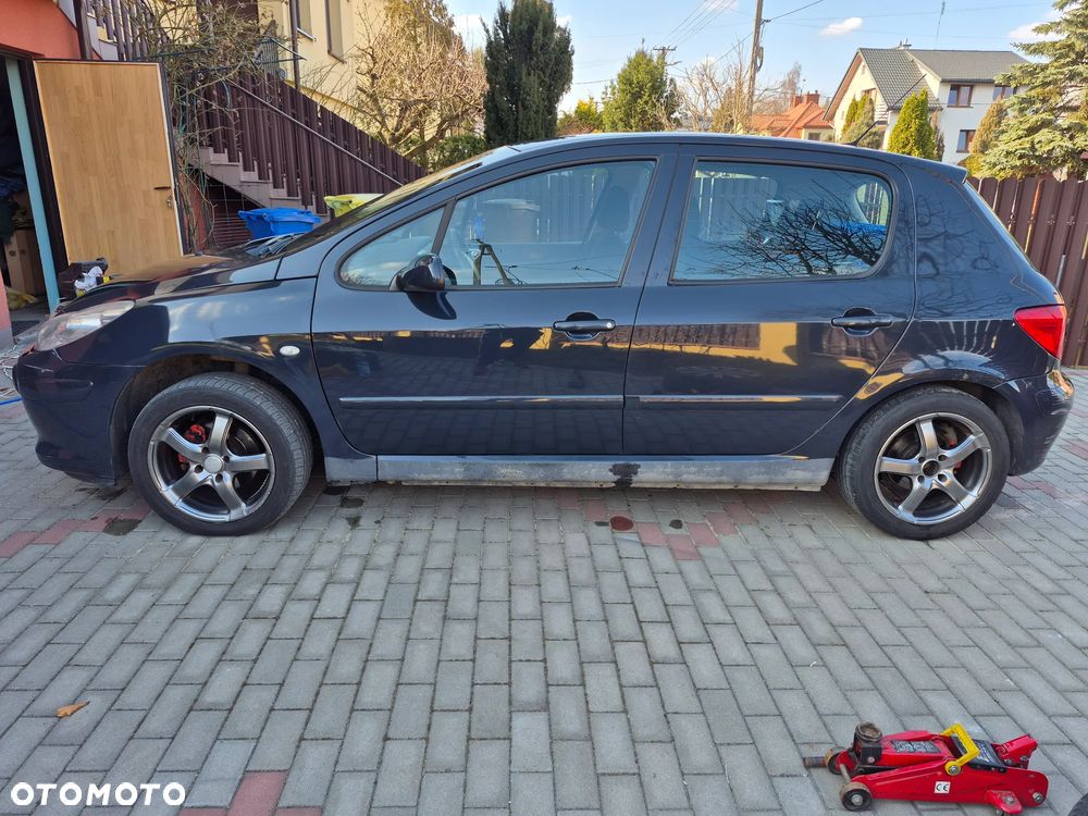 Peugeot 307 - 12