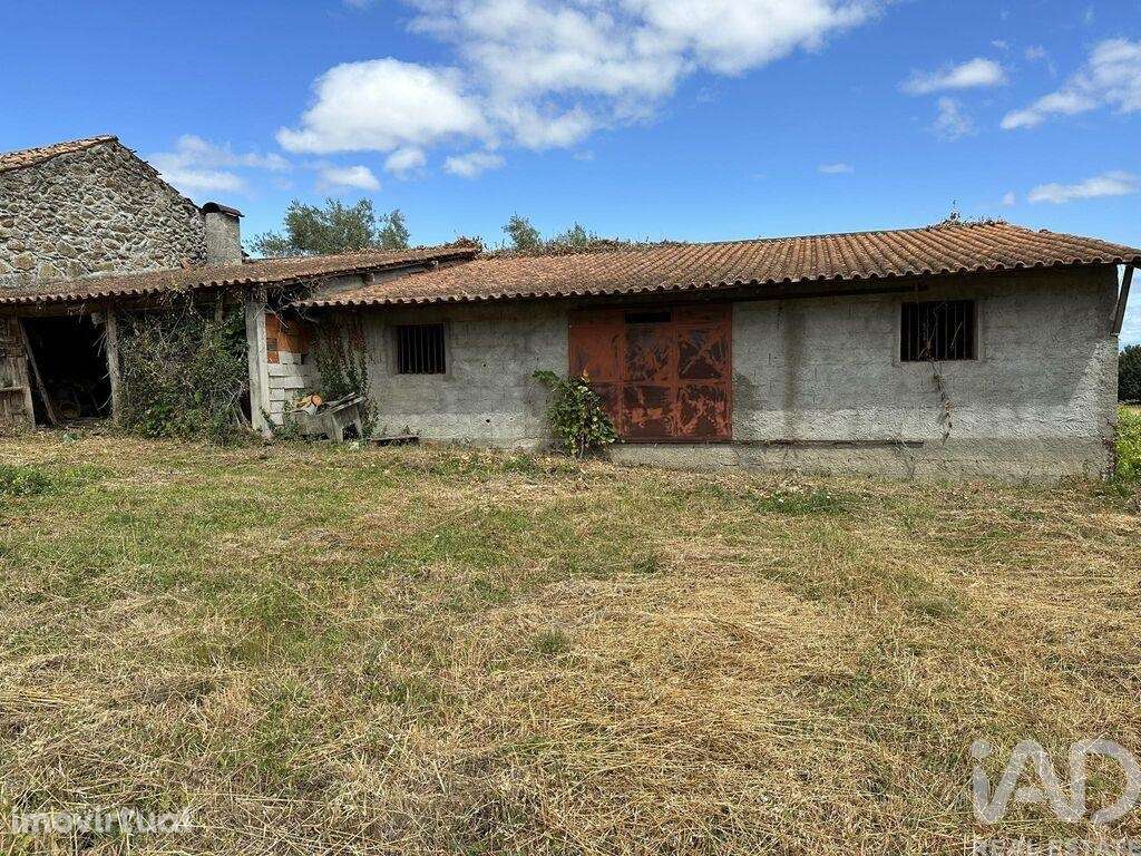 Terreno para construção em Madalena e Samaiões de 4000,00 m2 - Grande imagem: 4/5