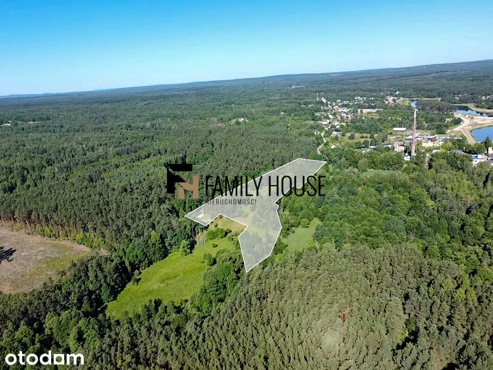 Urokliwe siedlisko 2,63ha z zabudowaniami, Bliżyn - Pełny obrazek: 5/17