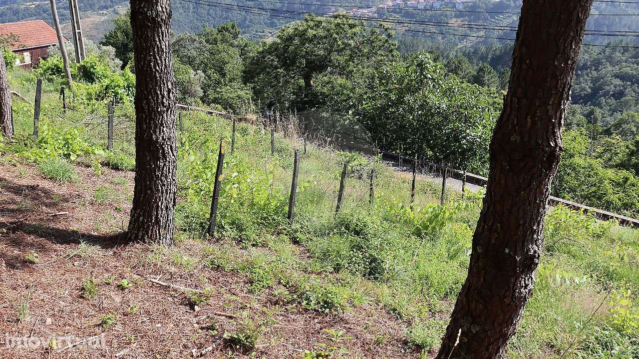 Terreno  para venda - Grande imagem: 5/9