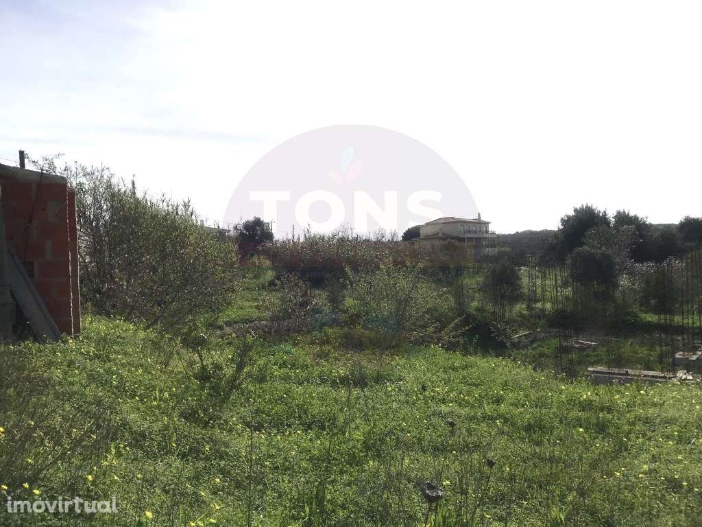 Oportunidade de Investimento - Lote de Terreno com Projeto Aprovado - Grande imagem: 5/14