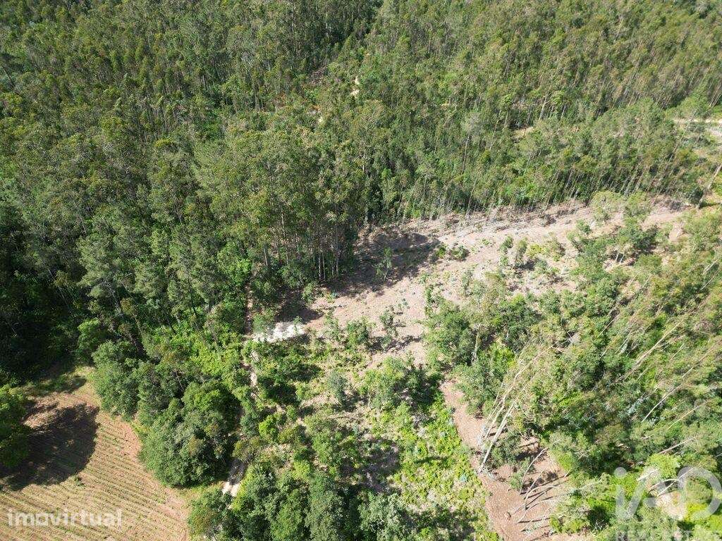 Terreno em Alqueidão da Serra - Grande imagem: 2/10