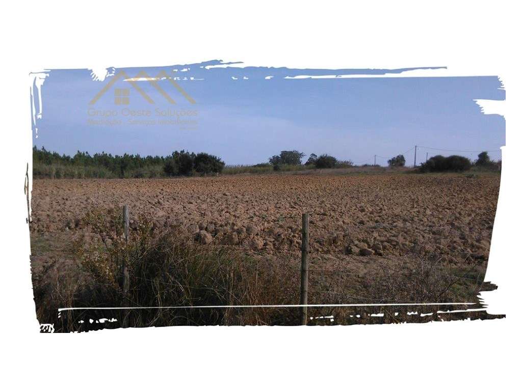 Terreno Agrícola c/ área 12320m2 - Grande imagem: 3/3