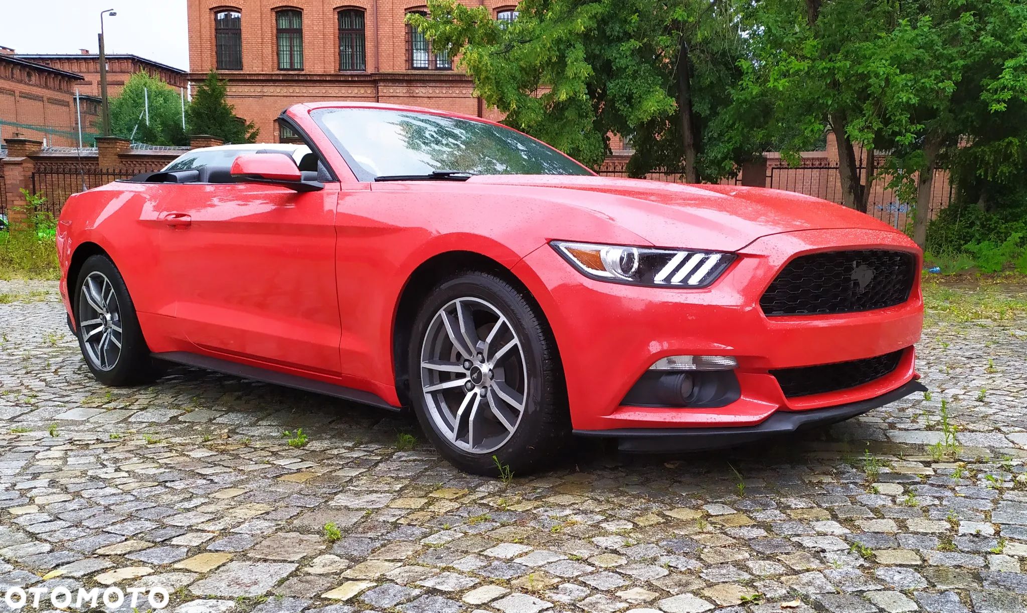 Ford Mustang 2.3 EcoBoost - 1
