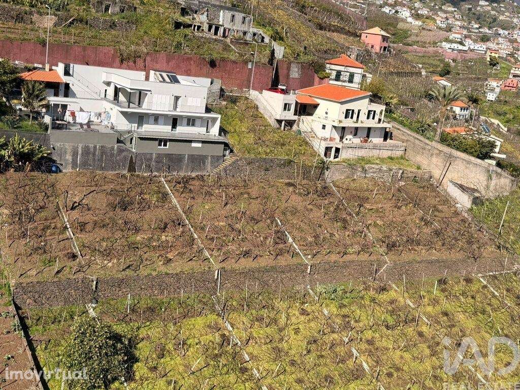 Terreno Agrícola em Estreito de Câmara de Lobos - Grande imagem: 2/2
