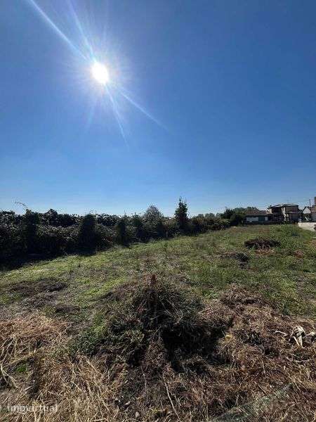 Terreno Urbano – 1 230 m² |  Malhapão, Oliveira do Bairro - Grande imagem: 3/6