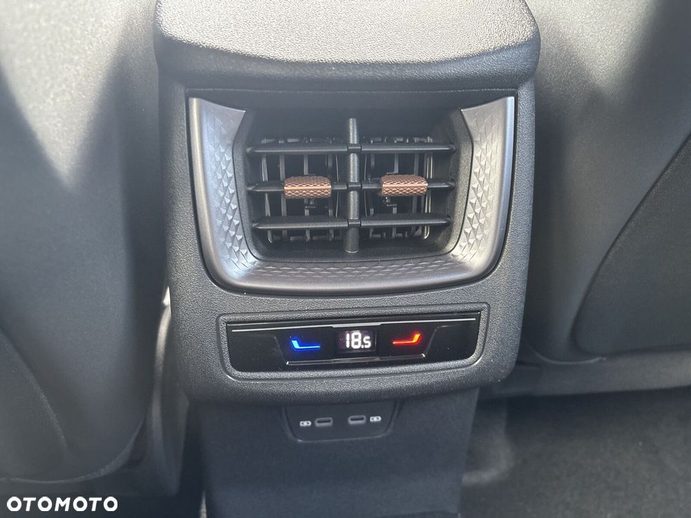 Cupra Terramar 2.0 TSI 4Drive DSG - 21