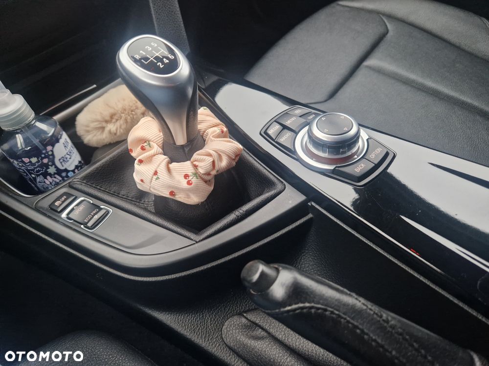 BMW Seria 3 316d Advantage - 12