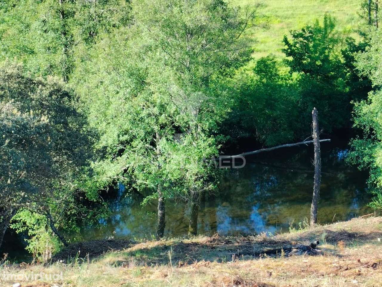 Terreno Rústico em Moinho de Meixedo – Frente ao Rio Sabor | Parque... - Grande imagem: 2/8