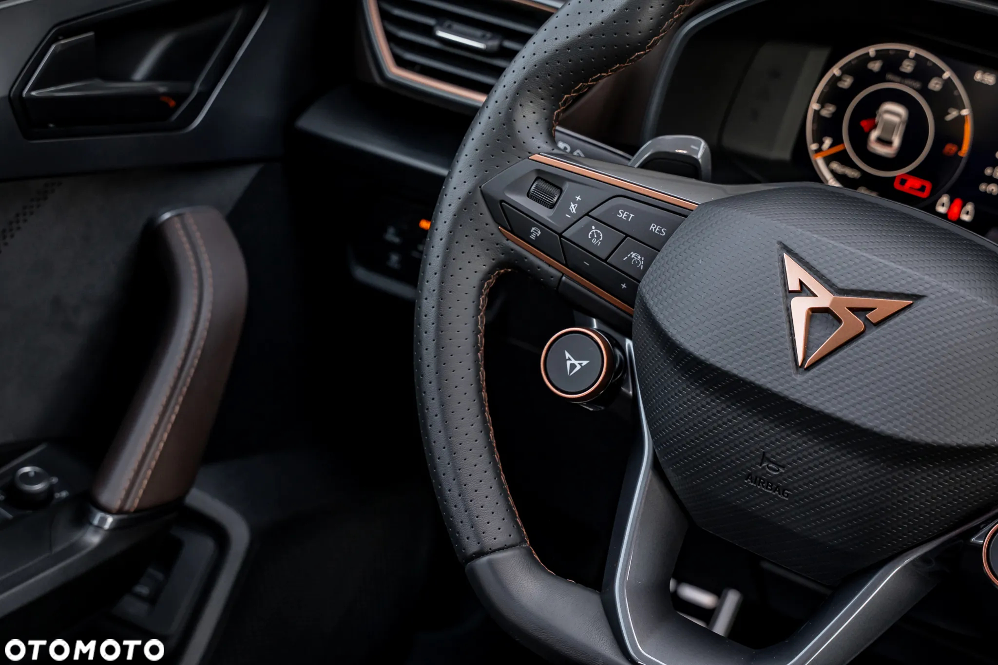 Cupra Formentor 2.5 TSI 4Drive VZ5 Taiga Grey DSG - 39