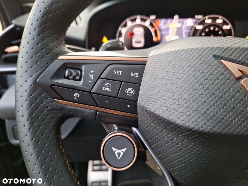 Cupra Terramar - 19