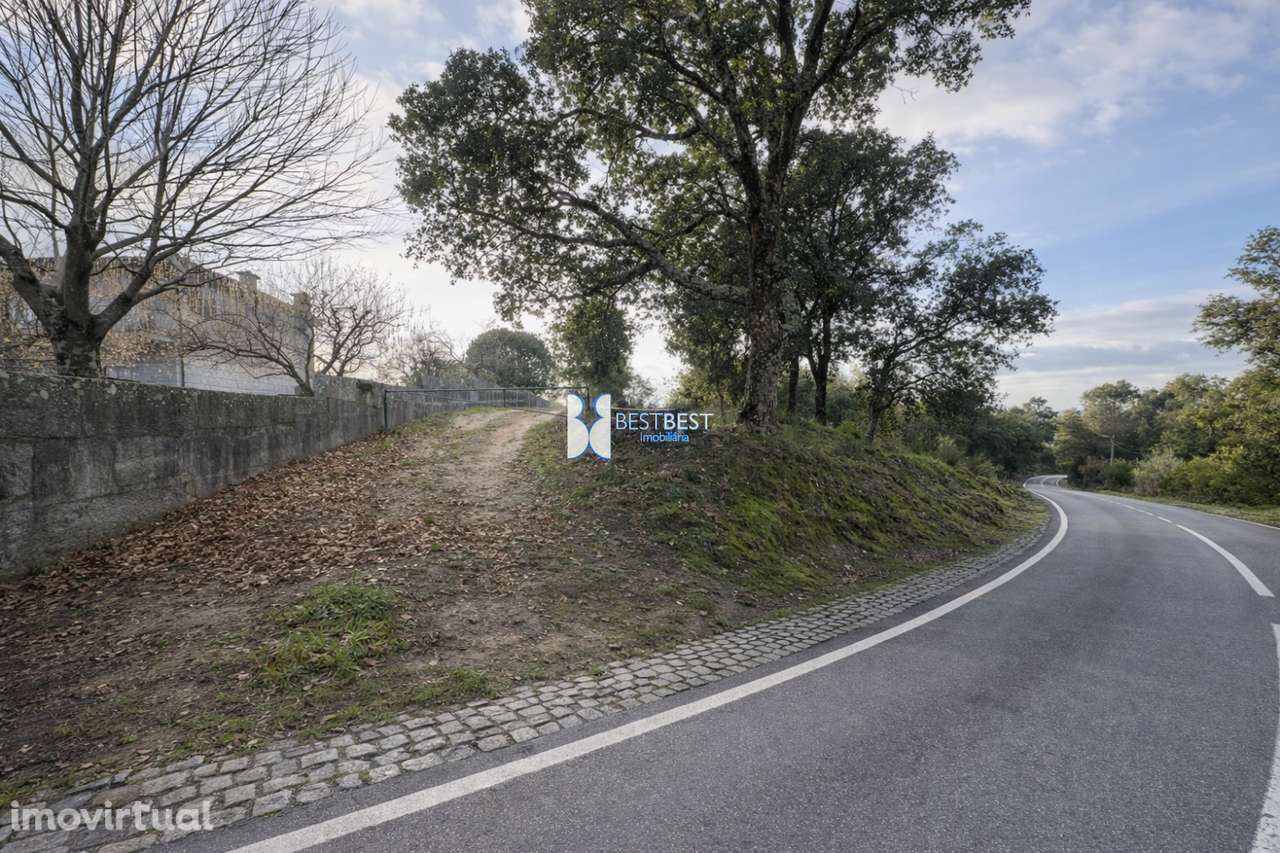 TERRENO COM 10.031  M2 EM BURGAES, SANTO TIRSO - Grande imagem: 2/11