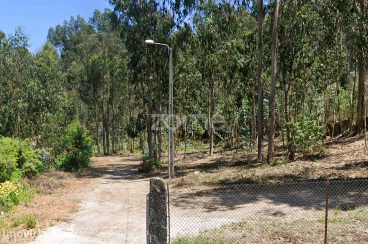 Terreno Rústico em Arnoso Santa Eulália - Grande imagem: 3/18