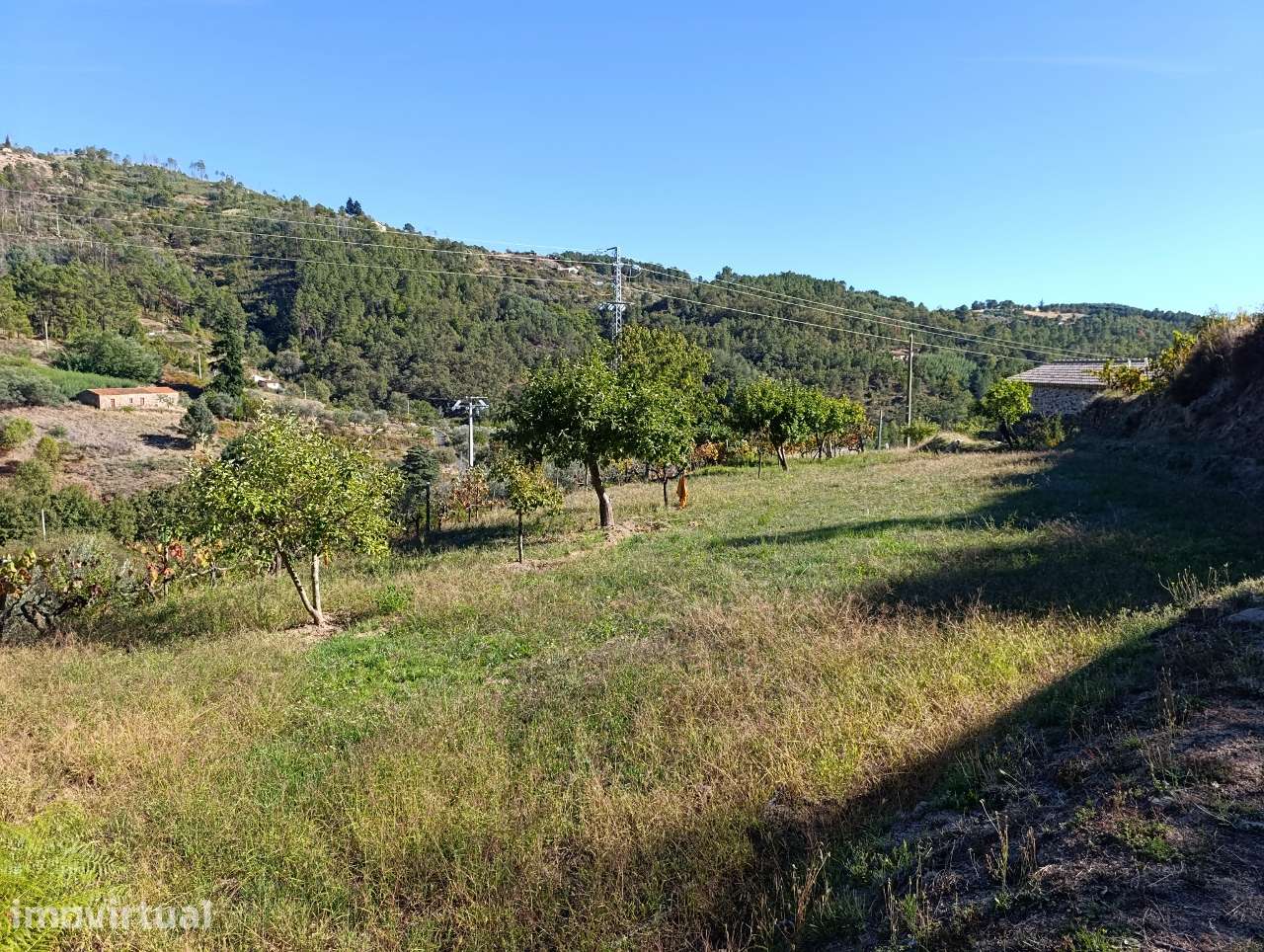 Quintinha 5.140 m2 com armazém registado – Covilhã, Serra da Estrela - Grande imagem: 5/31