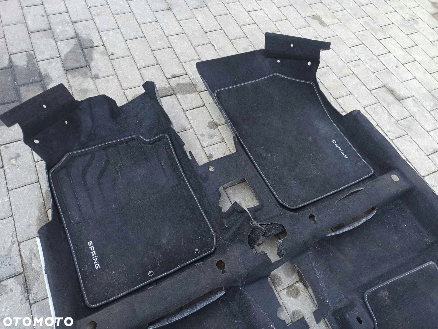 DACIA SPRING DYWAN WYKŁADZINA EUROPA DYWANIKI 2023R 749026937R - 2