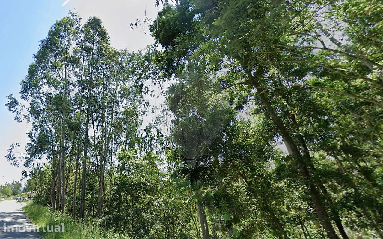 Terreno  para venda - Grande imagem: 3/4