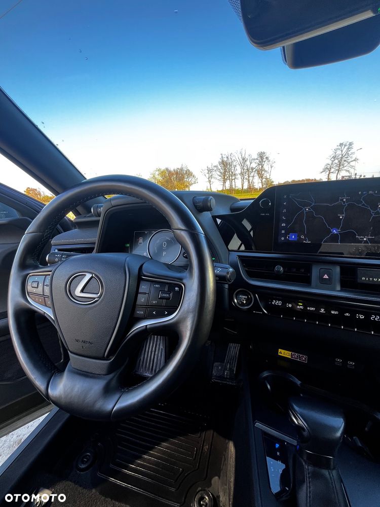 Lexus UX 250h GPF F Sport Edition 2WD - 9