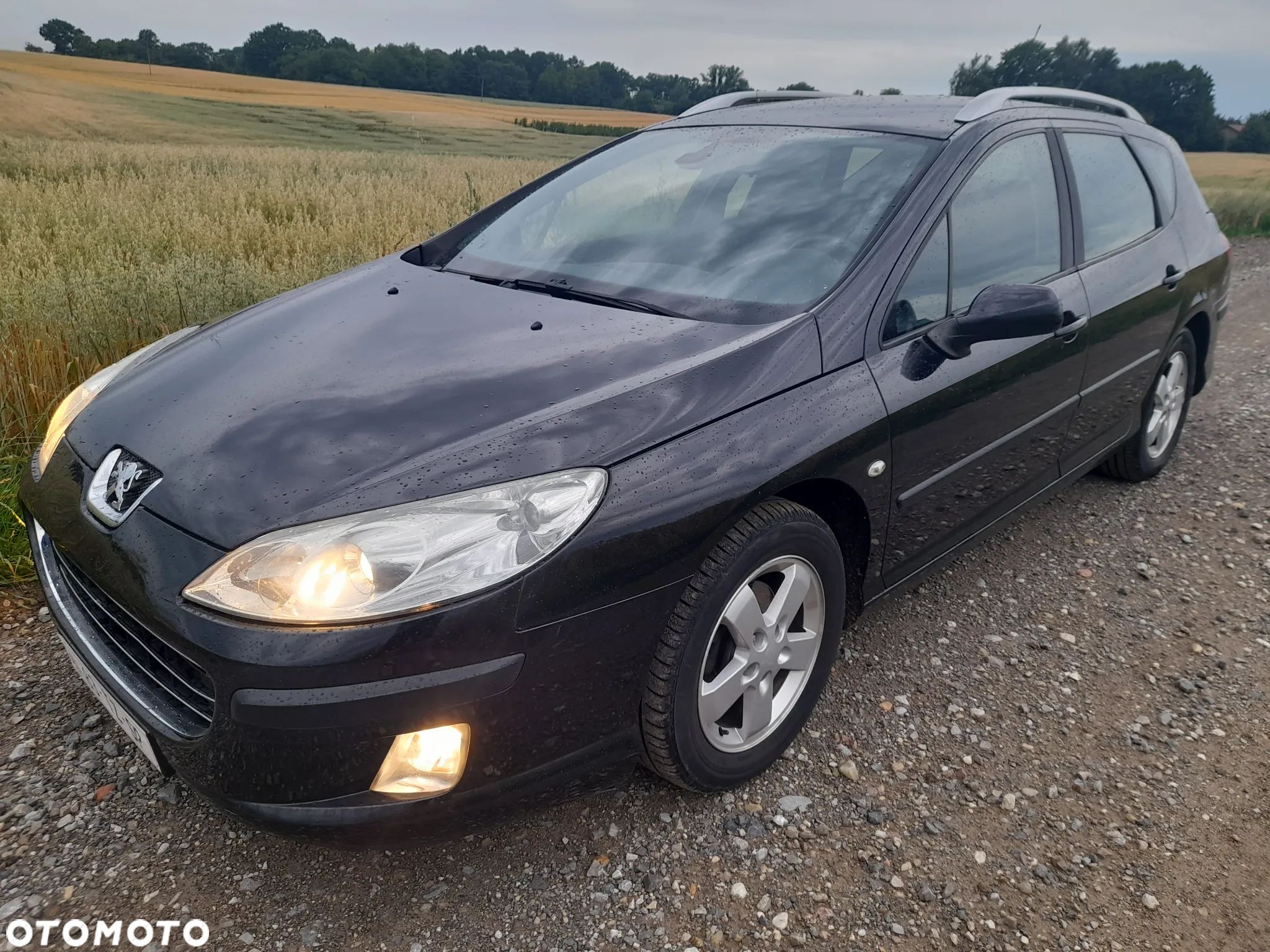 Peugeot 407 - 1