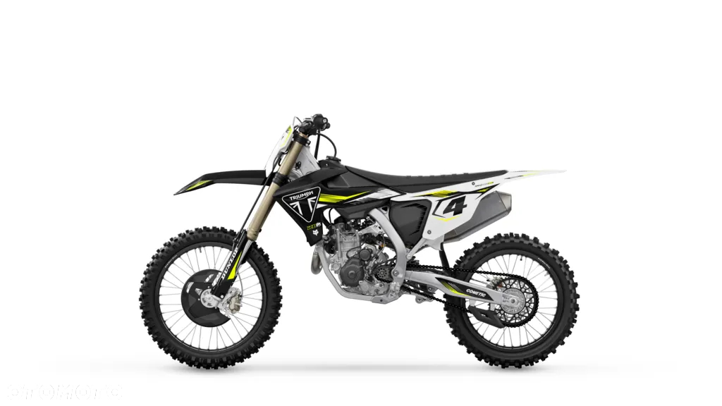 Triumph Inny - 19